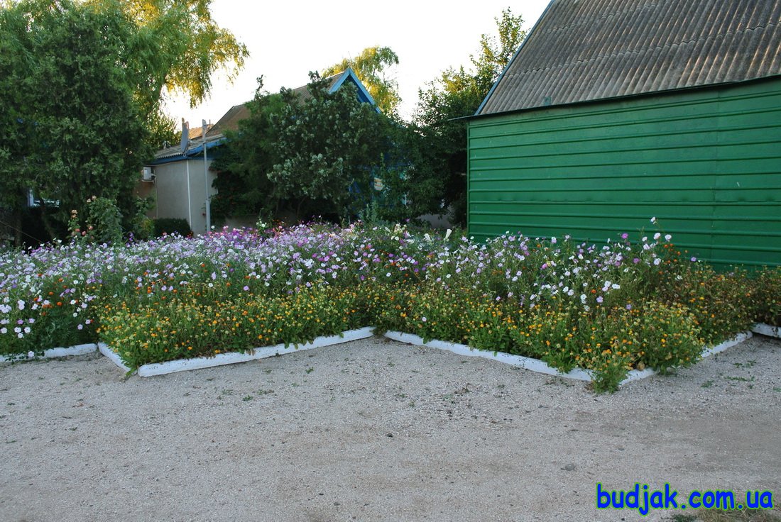 База отдыха Плай - территория. Курорт Рассейка. Фото N 7706. 2016 год